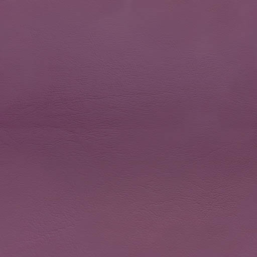 003343 - orchidee