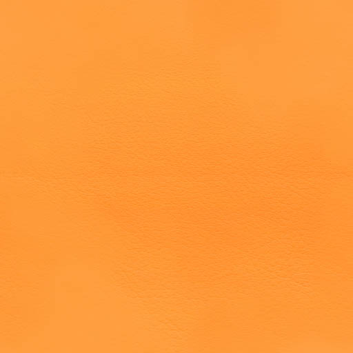 010879 - safran