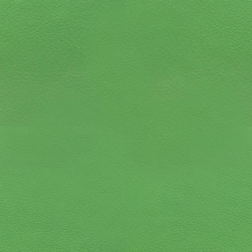 015816 - kiwi