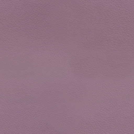 016041 - aubergine