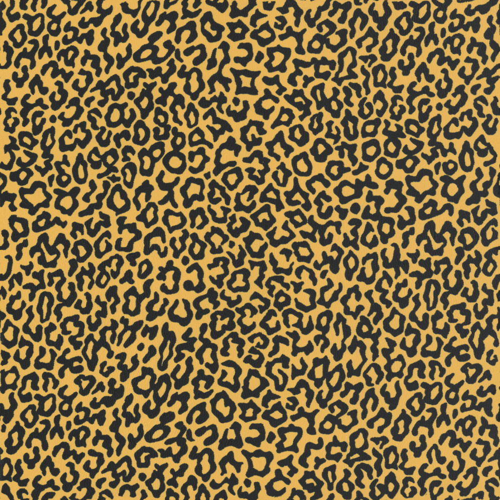 021985 - leopard-mais