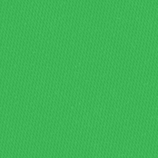 13955 - kiwi